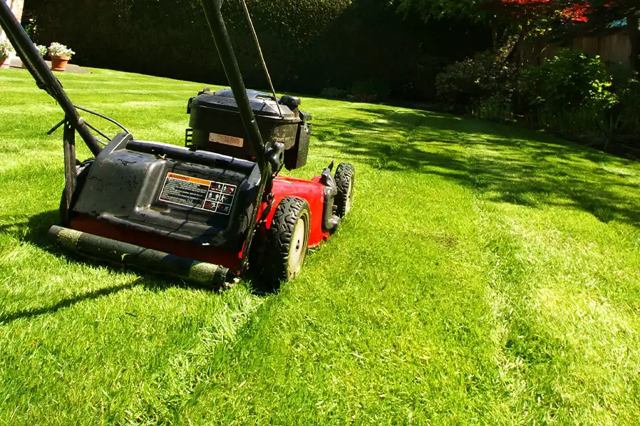 Lawn mowing and trimming services - Springfield, IL