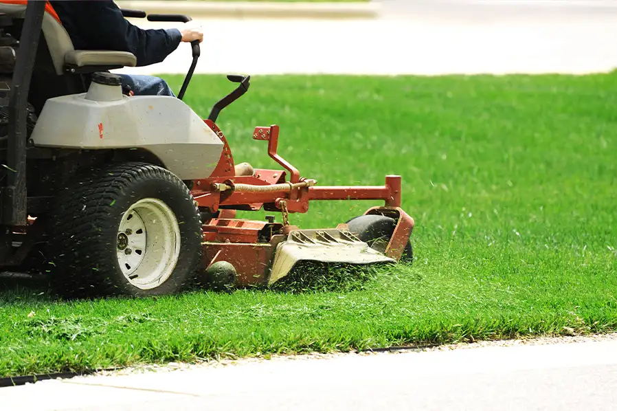 Lawn care, grass mulching services, the mulching and spreading of grass clippings to fertilize and protect lawn - Springfield, IL