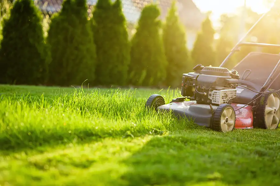 close focus on lawn mower, cutting grass in the evening sun - Springfield, IL