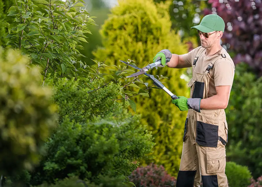 Lawn Care Programs, professional Pruning, Mulch Installation, Spring Cleanup - Springfield, IL