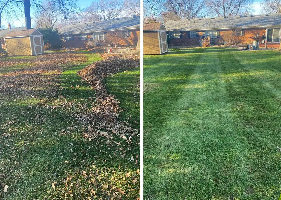 Stolleis Lawn Care, seasonal yard cleanup services, raked leaves and cleared debris, side by side before and after photos of past job - Springfield, IL