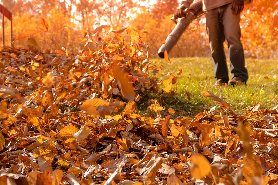 professional fall yard cleanup services, seasonal lawn care, leaf blower - Springfield, IL