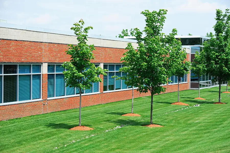 Commercial Landscaping Services - Springfield, IL