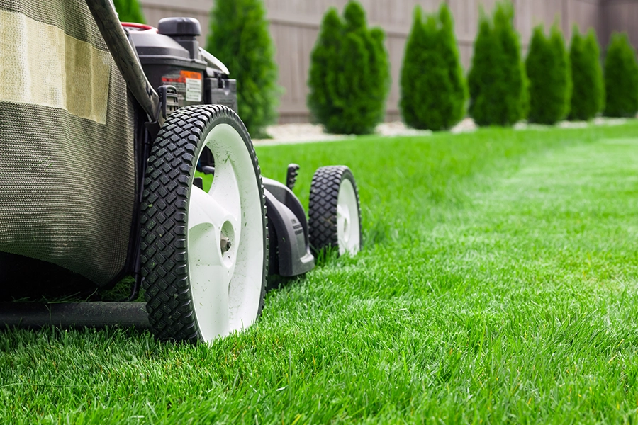 A person in Springfield, IL, cutting bright green healthy grass during the summertime.