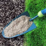Timing is Key: The Best and Worst Times to Seed Your Lawn