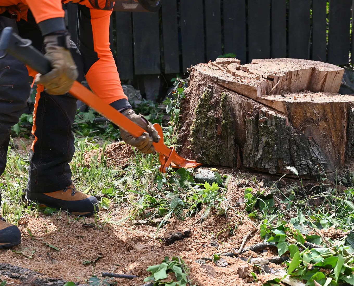 Tree stump removal activity in a backyard garden during daylight by a worker using a tool in springfield il