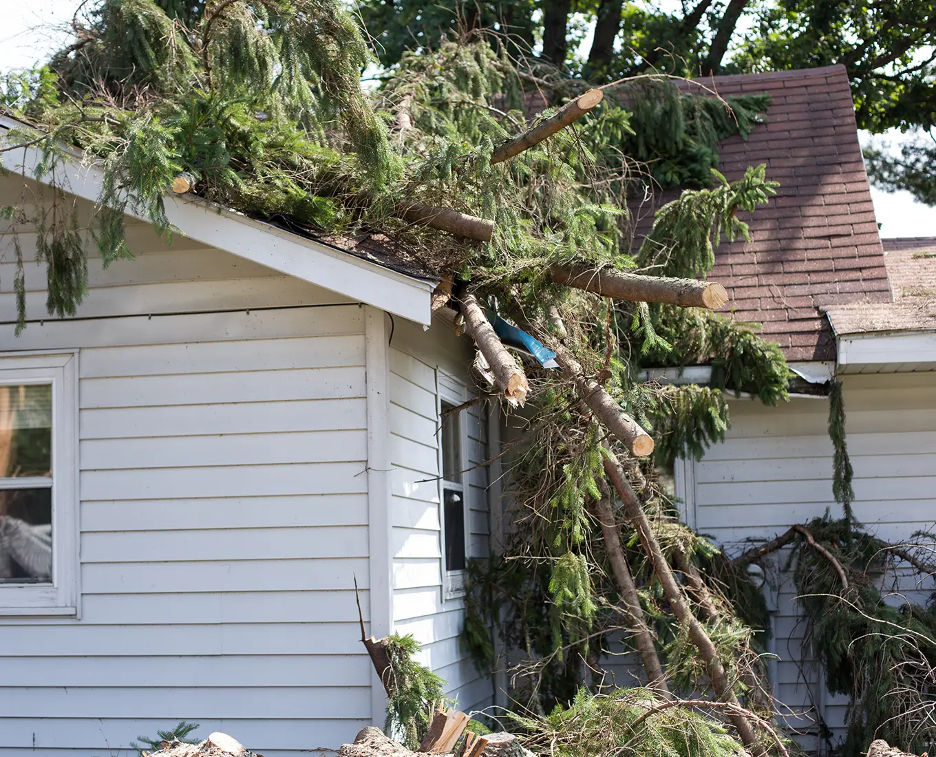 24/7 Emergency Tree Service and Storm Damage in springfield il